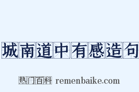 城南道中有感造句是什么意思的图片